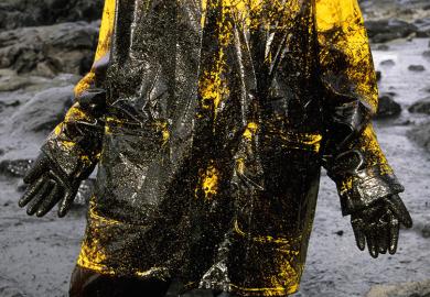 Oil slick caused by the "Prestige" ship. Galicia. Volunteer cleaning the beach