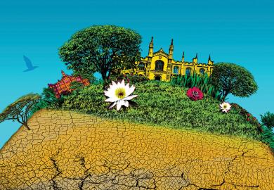 Climate change and university illustration