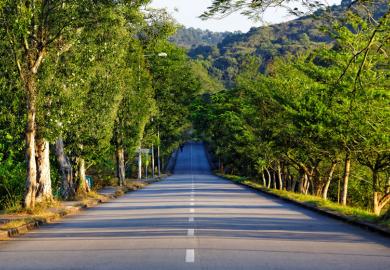 Tree-lined road stretching to horizon