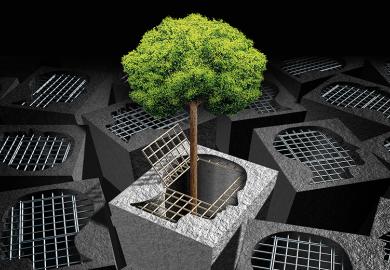 tree breaking out of cage