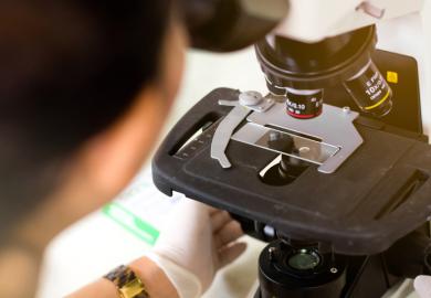 Under the microscope