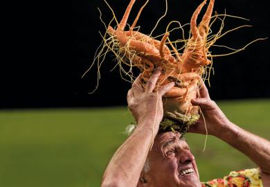 Man inspecting a carrot as a metaphor for Is the REF still useful?