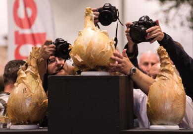  Press photographers take pictures of the podium of the winning onions to illustrate Journal prestige still driving reputation