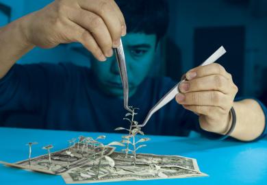 Man creating trees out of bank notes as metaphor for not all research used requires public money