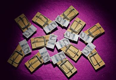  British pounds notes in mousetraps to illustrate For university leaders, a little economics can be a dangerous thing