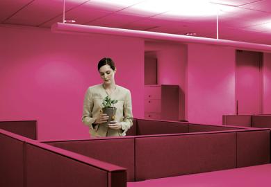 Businesswoman in office holding a house plant to illustrate Declining self-determination is eroding academic motivation