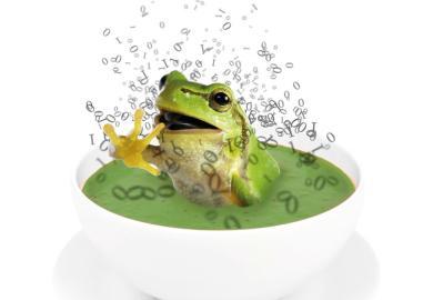 Montage of a frog in a bowl of green soup with coding  to illustrate Of frog soup and icebergs 