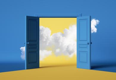 A wide door, illustrating business schools widening access