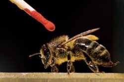 Buzzkill Definition In American English – BERYSV
