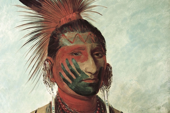 George Catlin and His Indian Gallery Epub-Ebook