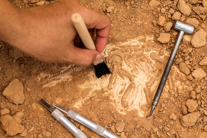 how to make money in archeology without a degree