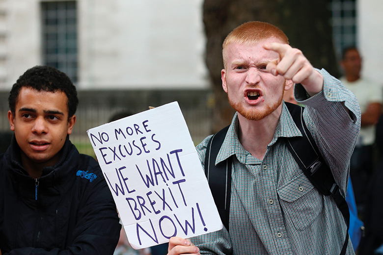 Pro-Brexit demonstrators