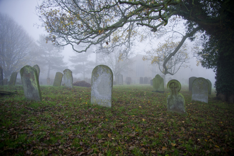 Is the Cemetery Dead? main image 1