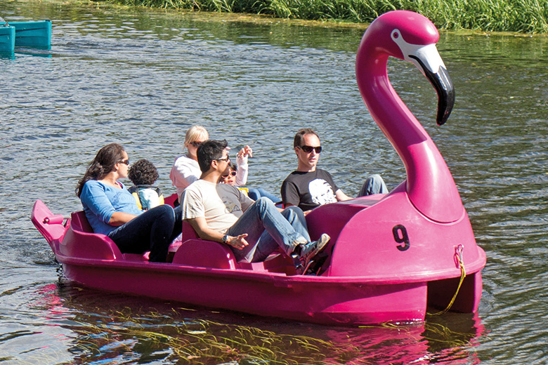 Flamingo pedalo