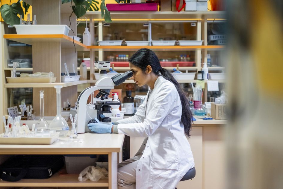 Indian higher education enrolment reaches new record high
