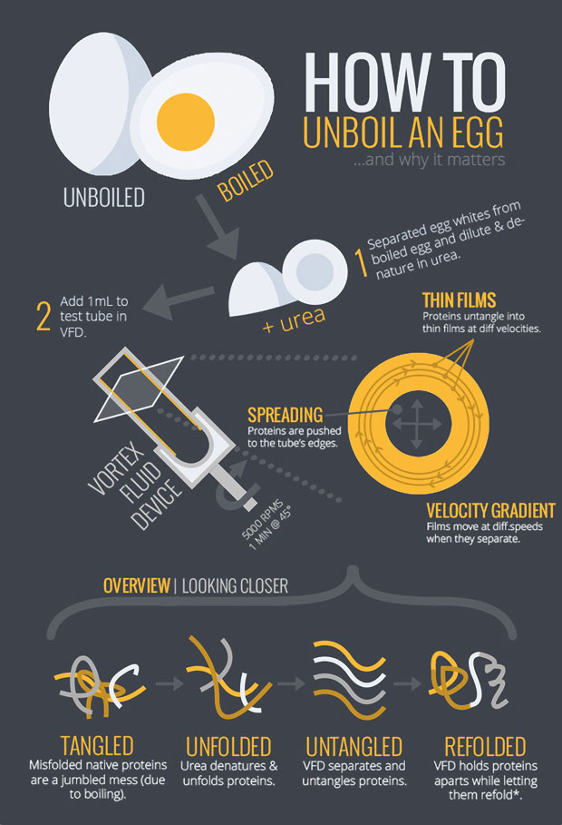 How to unboil an egg