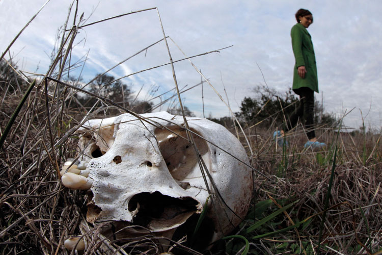 Life on the body farm Times Higher Education (THE)