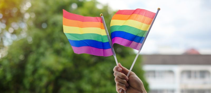 Tsinghua pair sue ministry in rainbow flag row | Times Higher Education (THE) - Vimarsana News