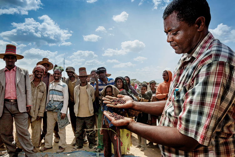 Molla Assefa, University of Hawassa, examines dried pulses, Sanguzu market