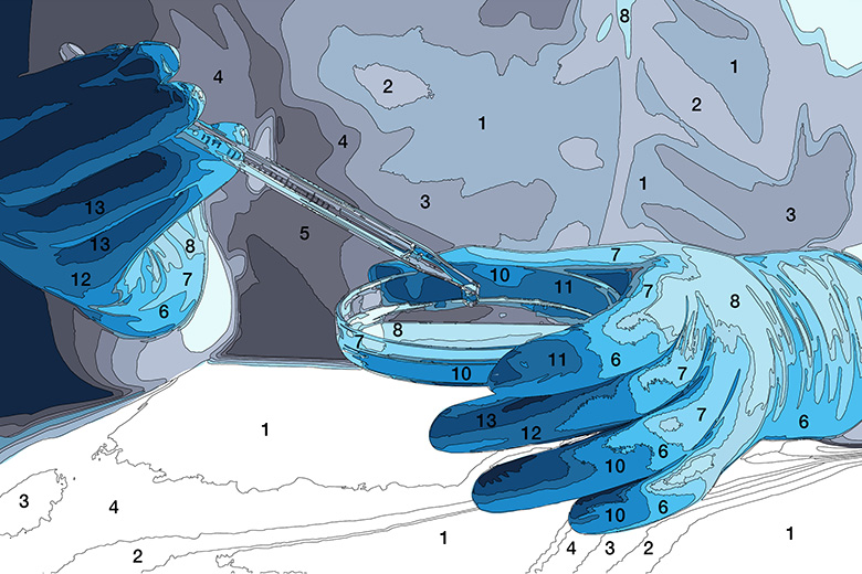 A paint by numbers illustration of a science experiment. To illustrate that the misuse of metrics can diminish the pursuit of new and original ideas. A paint by numbers illustration of a science experiment. To illustrate that the misuse of metrics can diminish the pursuit of new and original ideas.