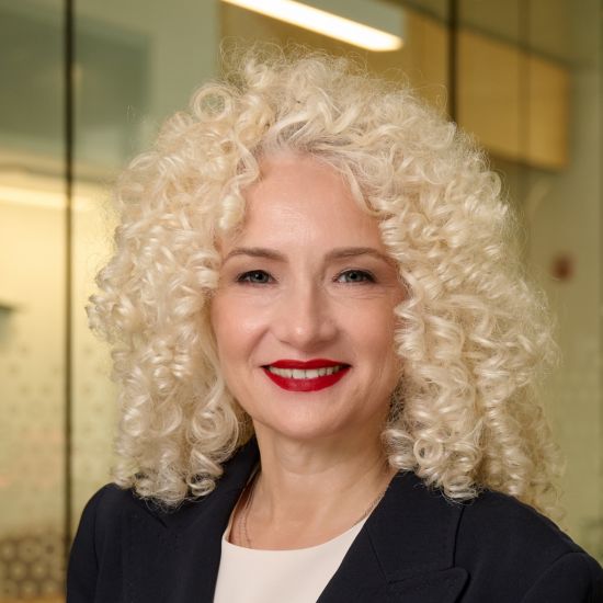 Radenka Maric: foreign academics won’t give up on American dream