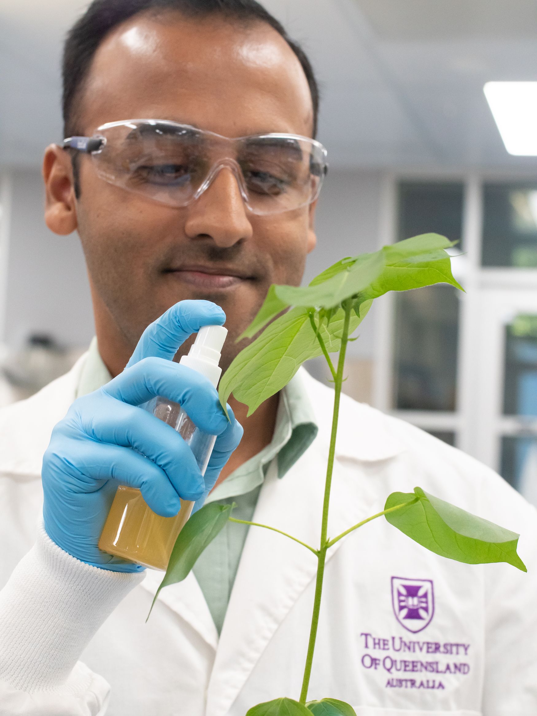 Phd candidate Ritesh Jain spraying a plant.