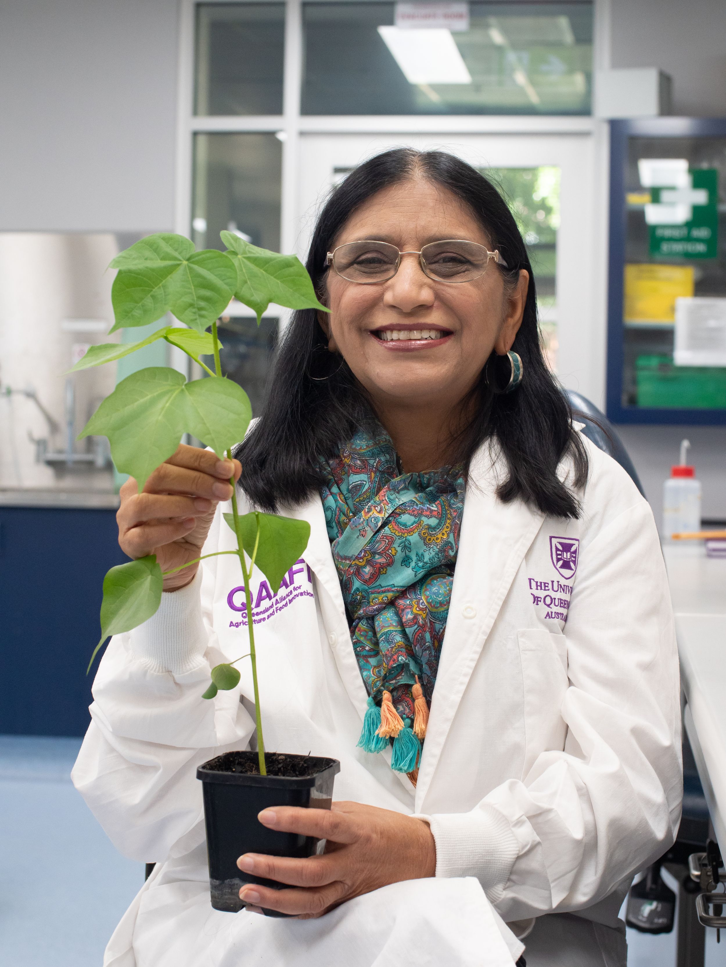 Professor Neena Mitter holding one of the crops susceptible to whitefly.