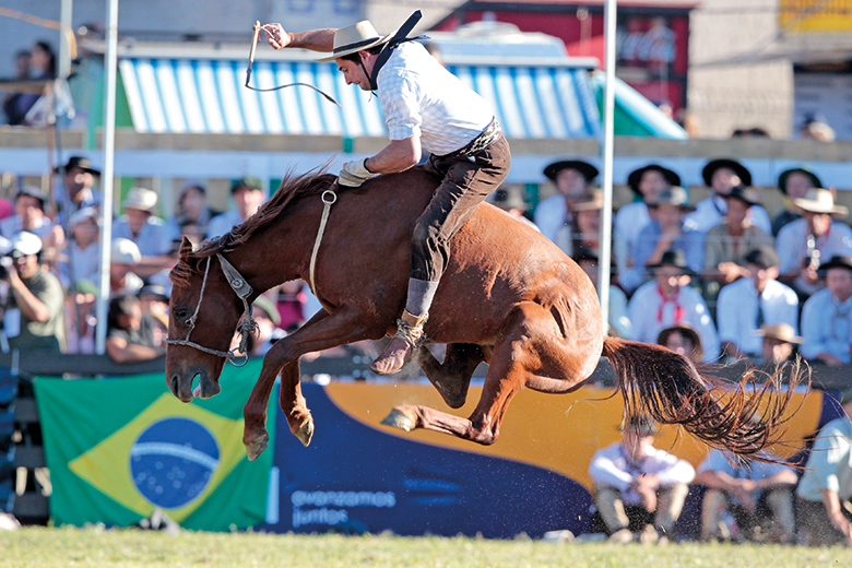 Rodeo rider