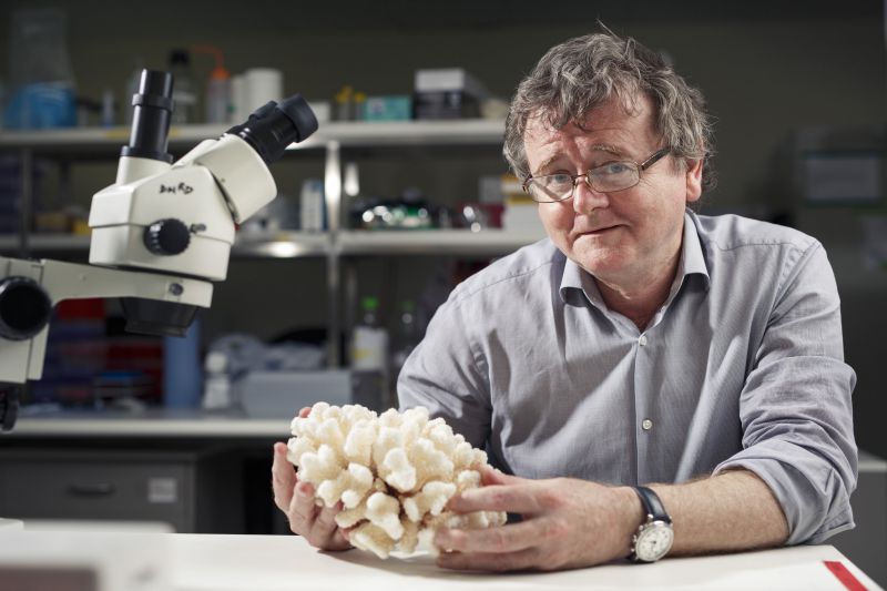 Interview with Terry Hughes Times Higher Education (THE)