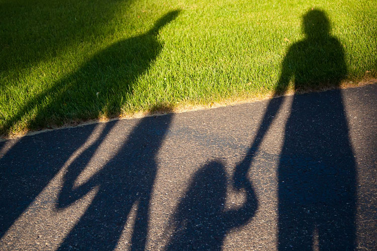 Shadows of family on grass