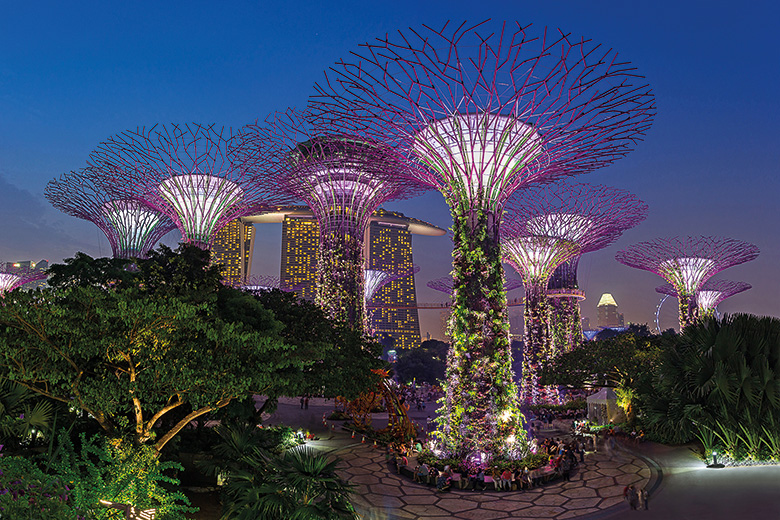 Singapore tree lights