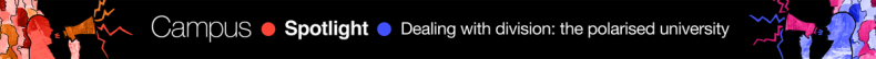 Dealing with division: the polarised university