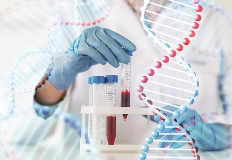 Curing brittle bone disease Times Higher Education (THE)