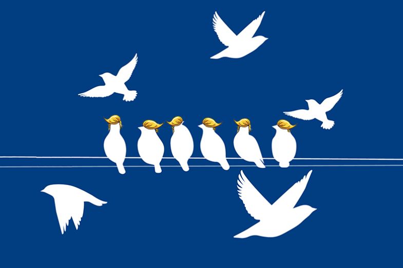 Birds with Trump hairstyle sitting on a wire, while others fly free. To illustrate some US universities toeing Trump’s ideological line.