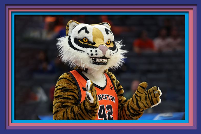 The Princeton Tigers mascot is seen during the first half against the Missouri Tigers in the second round of the NCAA Men's Basketball Tournament at Golden 1 Center on 18 March, 2023 in Sacramento, California The Princeton Tigers mascot is seen during the first half against the Missouri Tigers in the second round of the NCAA Men's Basketball Tournament at Golden 1 Center on 18 March, 2023 in Sacramento, California