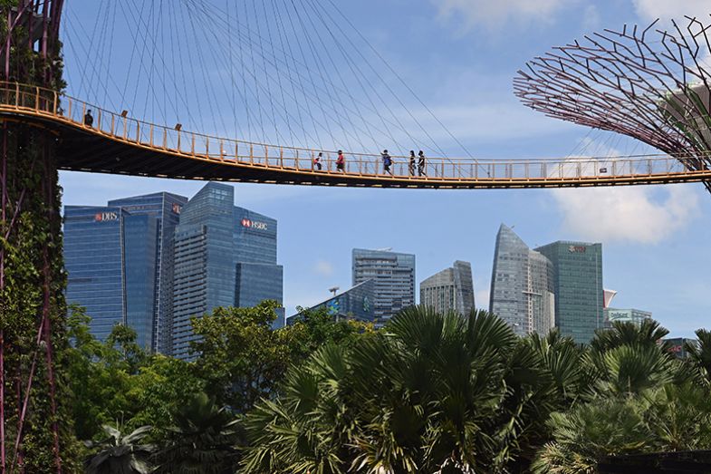 Visitors walk across the Supertree Grove skyway at Gardens by the Bay in Singapore. To illustrate that universities in Singapore need to find a balance between attracting foreign talent and nurturing local faculty.