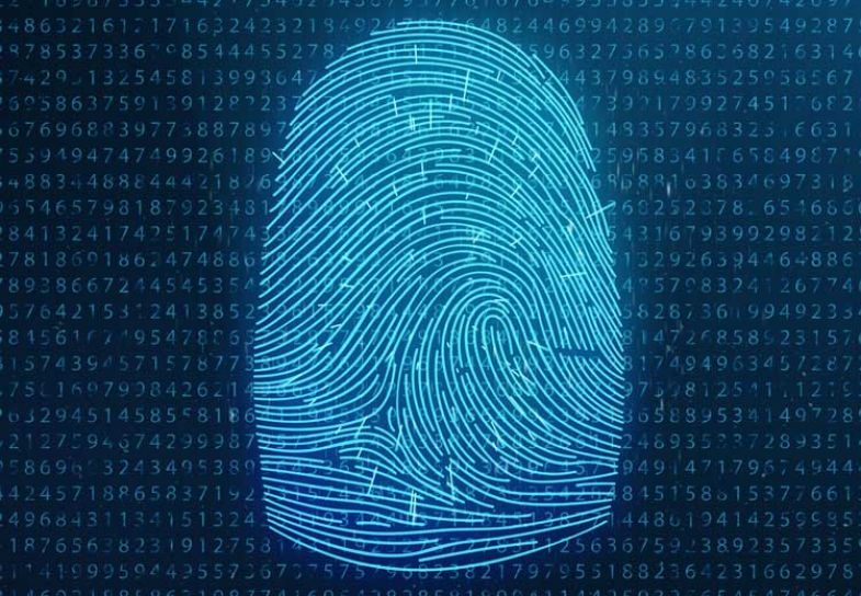 Data fingerprint