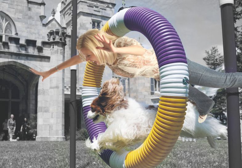  Montage of a Cavalier King Charles Spaniel jumps through a hoop with a woman to illustrate Be more spaniel