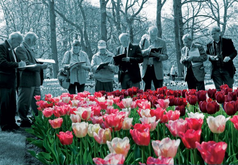 Group of Judges holding clip boards come to judge tulips as a metaphor for graduate employment outcomes.