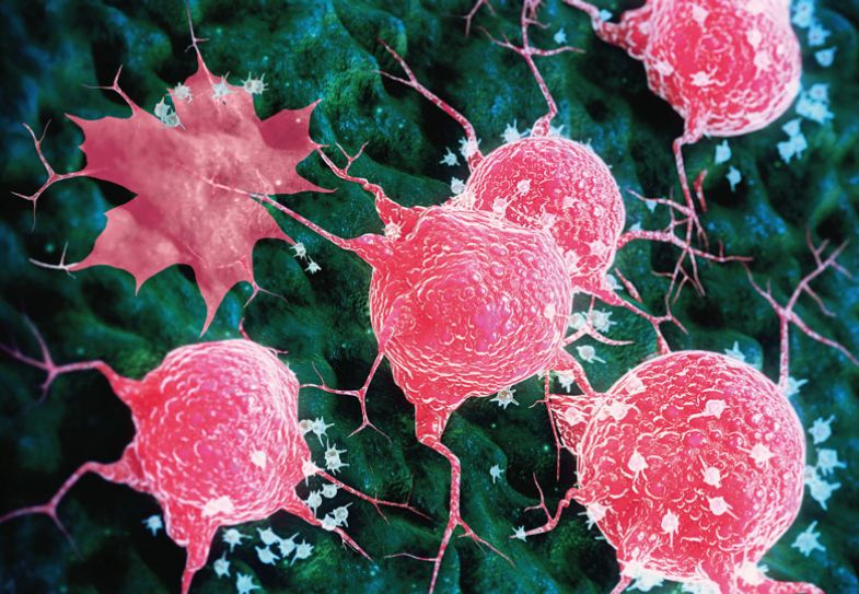 Montage of a cancer cells with a red leaf laying with them
