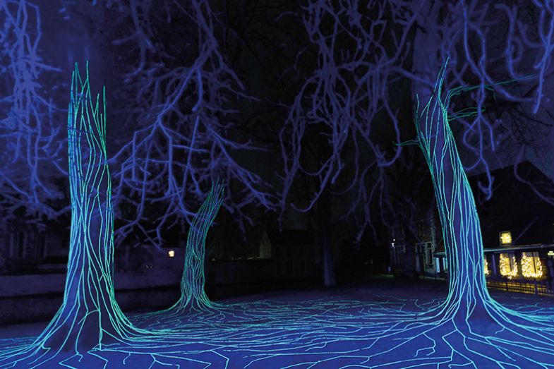 The Winjngaardplein installation, which celebrates Suzanne Simard’s discovery that trees and plants are interconnected underground, in Bruges, Belgium, in 2020 