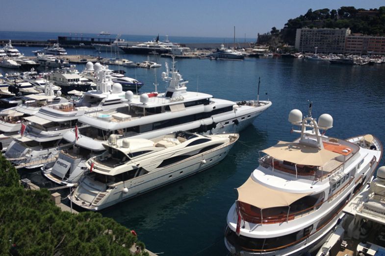 Luxury yachts in a harbour