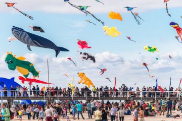 Adelaide International Kite Festival 2016 Adelaide International Kite Festival 2016