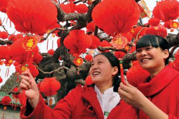 Chinese new year Chinese new year