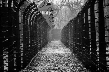 auschwitz-fences