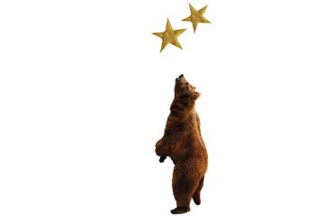 Bear reaching for golden stars