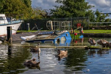 Bowling, West Dunbartonshire, Scotland, UK - September 18, 2023 Swans in front of a sunken boat in the harbour Bowling, West Dunbartonshire, Scotland, UK - September 18, 2023 Swans in front of a sunken boat in the harbour
