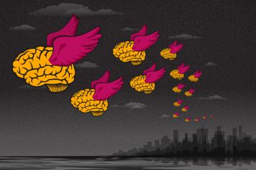 Brain drain Brain drain