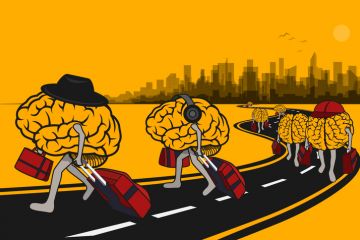 Brains travelling along a road