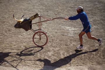 Bullfighter pushing stuffed bull's head on bicycle wheel Bullfighter pushing stuffed bull's head on bicycle wheel